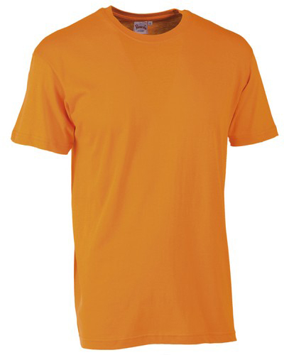 ART.C50 <br> SHIRT M/CORTA ARANCIO